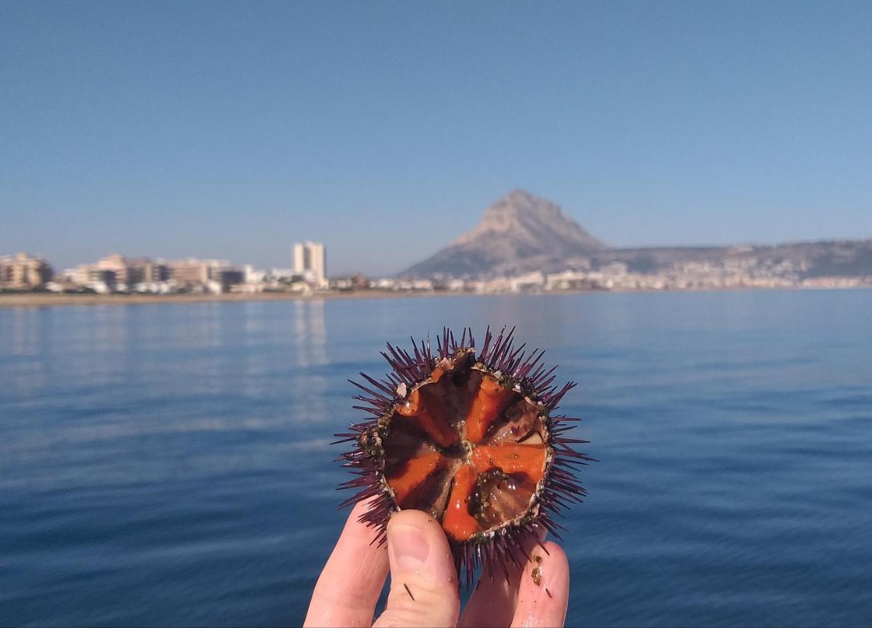 Junto Al Mar Leilighet Jávea Eksteriør bilde